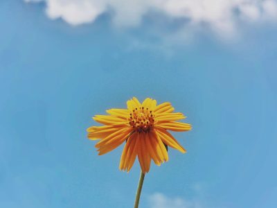 chinnu-indrakumar-JsEUOHYhWRo-unsplash